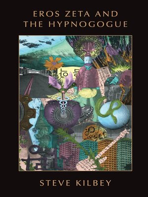 cover image of EROS ZETA  and the HYPNOGOGUE